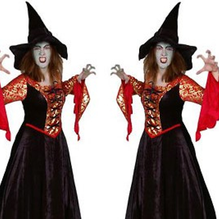 Steltlopende Heksen boeken