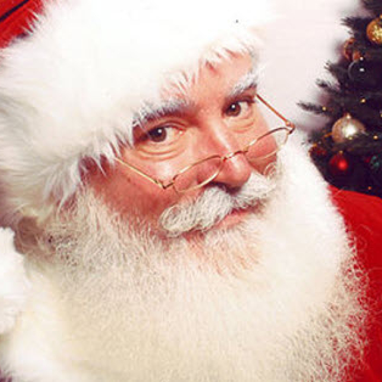 Rondlopende Kerstman boeken