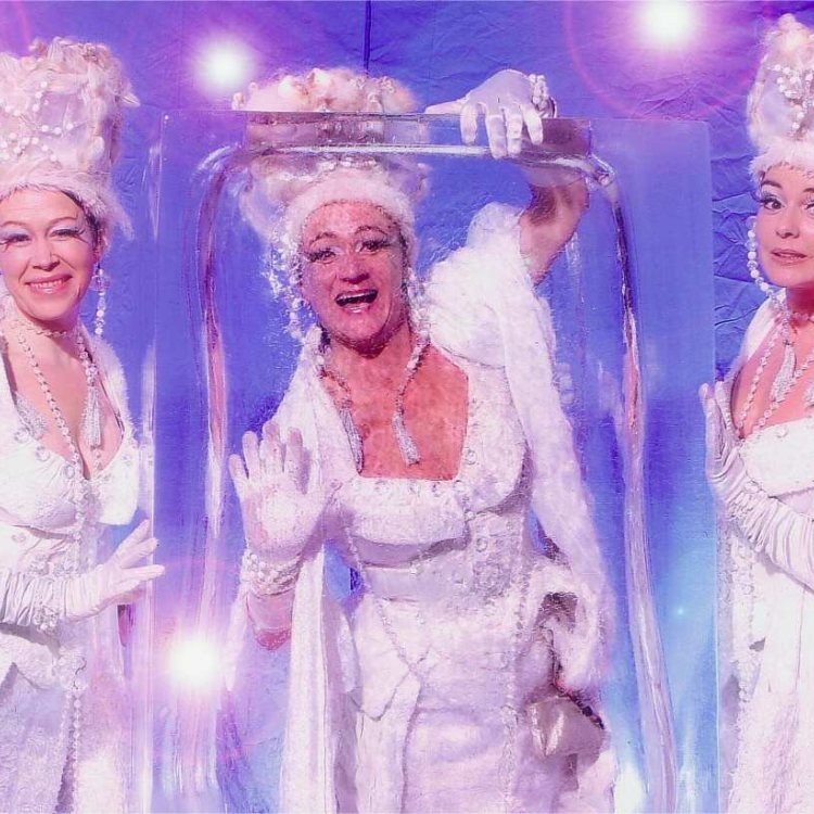 De Baronessen boeken