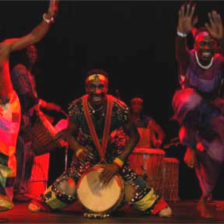 Afrikaanse Trommelaars boeken