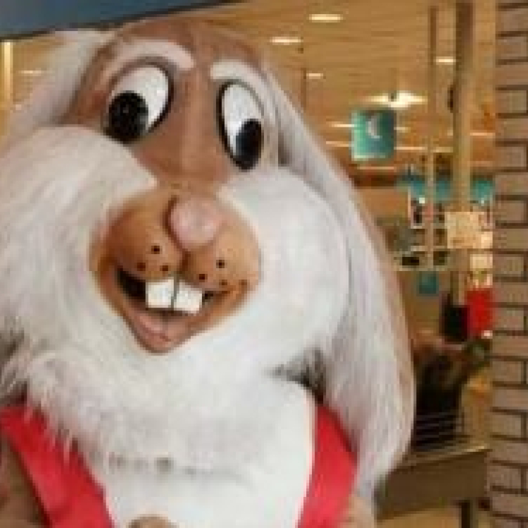 De Reuze Paashaas boeken