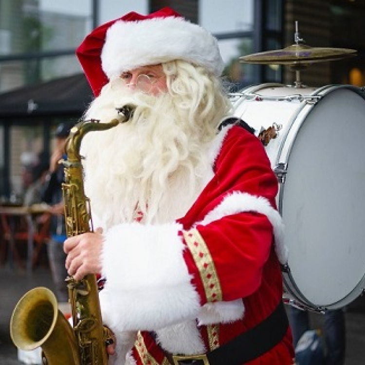 Muzikale Mobiele Kerstman boeken