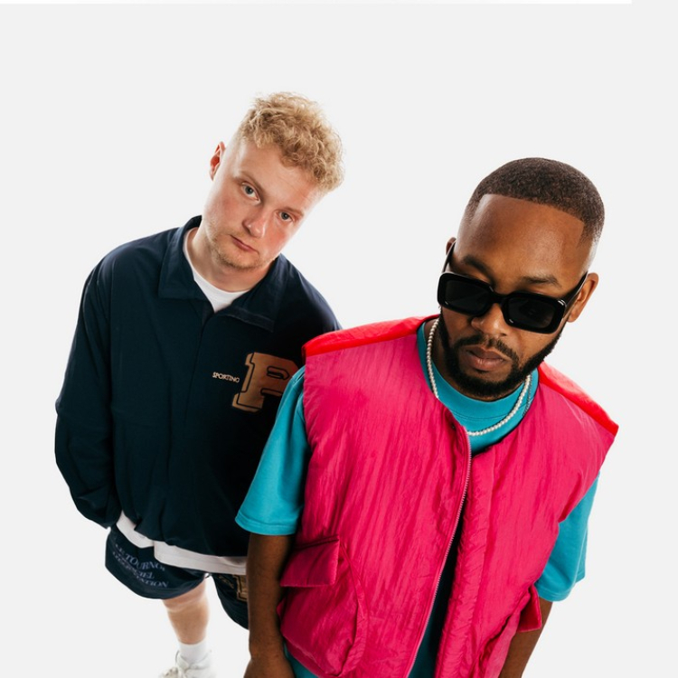 Smerrig Diskjochies boeken