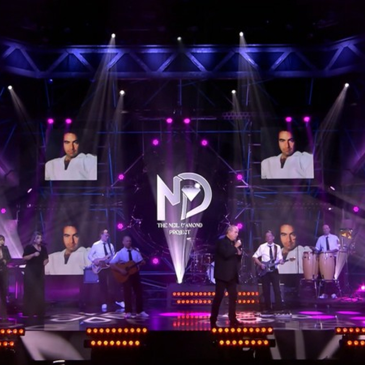 The Neil Diamond Project boeken