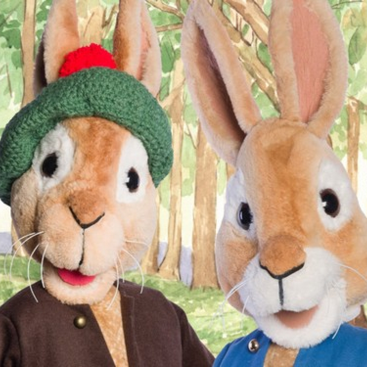 Pieter Konijn boeken