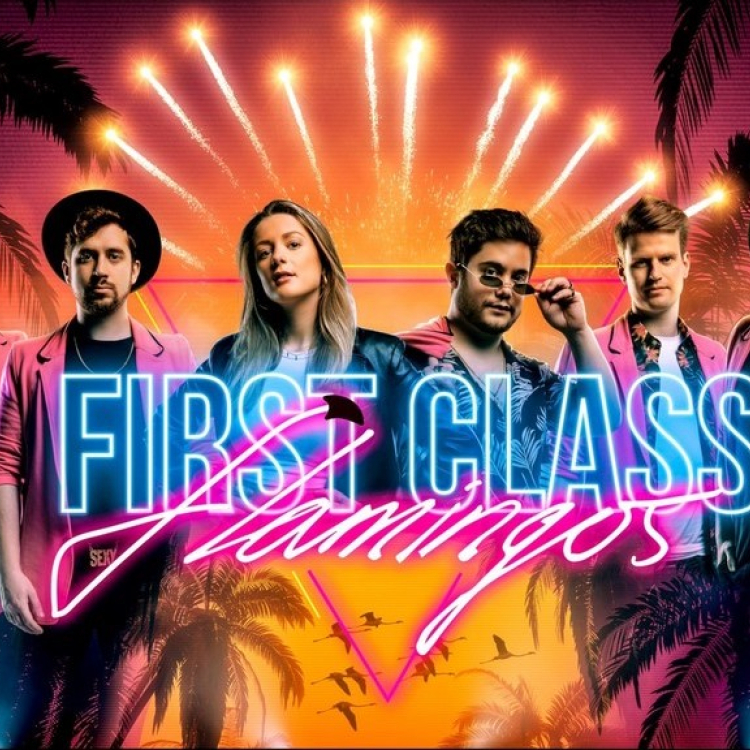 First Class Flamingos boeken