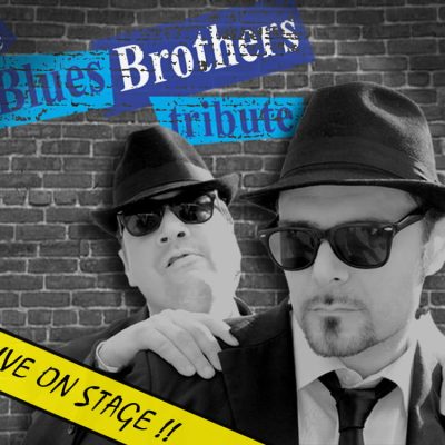 The-Blues-Brothers-boeken